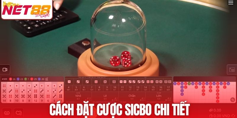 Cách đặt cược Sicbo chi tiết