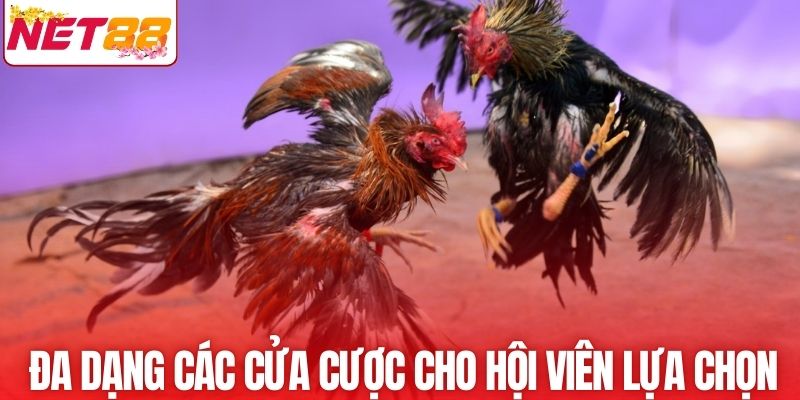 Đa dạng các cửa cược cho hội viên lựa chọn