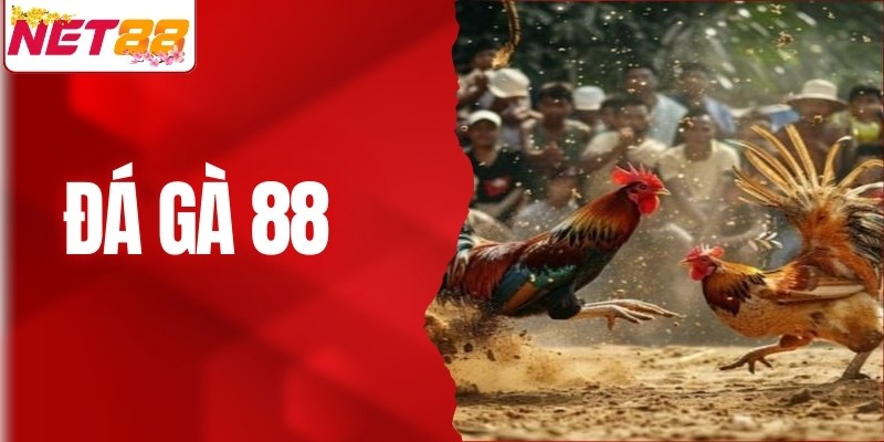 Đá Gà 88 - Uy Tín, Chất Lượng, Thu Hút Đông Đảo Người Chơi
