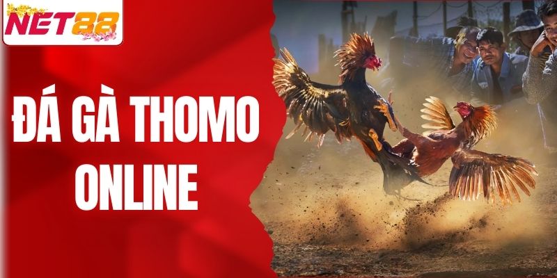 Đá Gà Thomo Online - Sàn Chiến Hấp Dẫn Cho Người Hâm Mộ