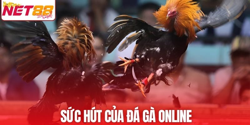 Điểm ưu việt chỉ có tại loại hình chọi kê online
