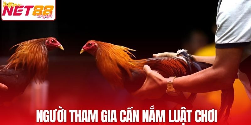 Hiểu rõ luật chơi gia tăng cơ hội thắng cược