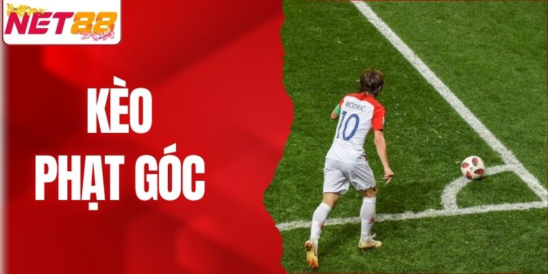 Kèo Phạt Góc Là Gì? Cách Bắt Chuẩn Cho Người Mới Tham Gia
