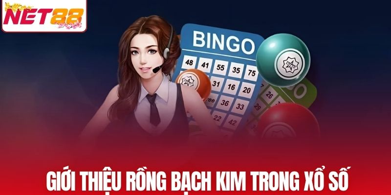 Khám phá điểm khác biệt của Rồng Bạch Kim