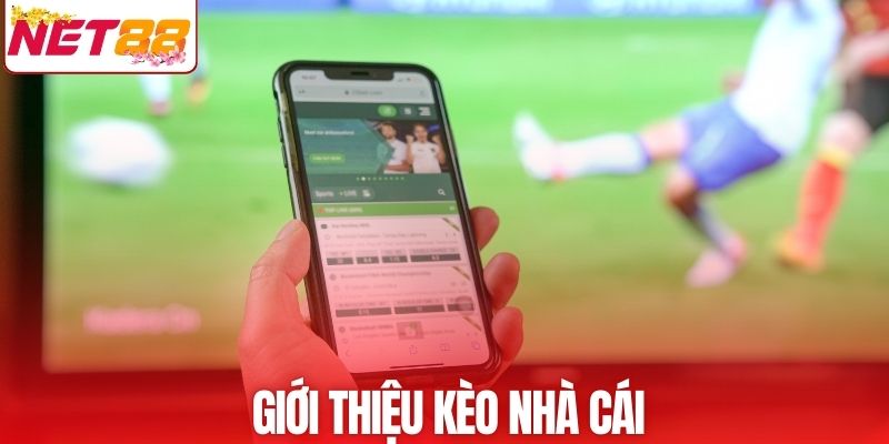 Người chơi cần hiểu rõ khái niệm kèo nhà cái