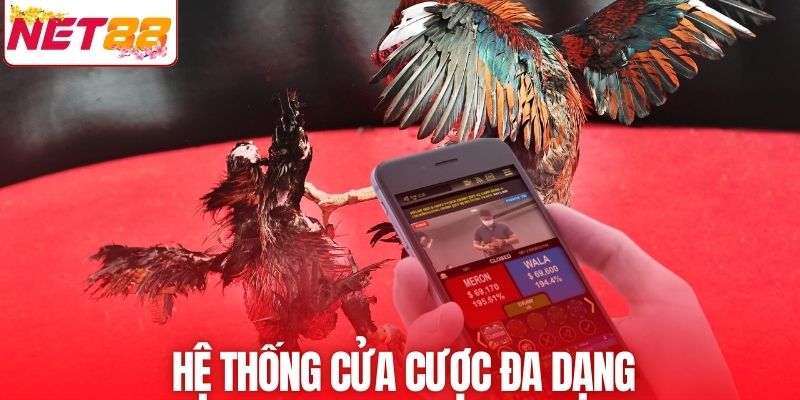 Nhiều tùy chọn cửa cược cho người tham gia