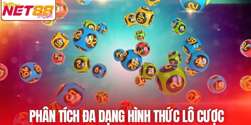 Phân tích sâu nhiều hình thức lô khác nhau