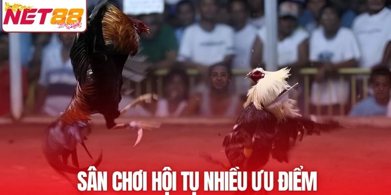 Sân chơi hội tụ đa dạng các ưu điểm tuyệt vời