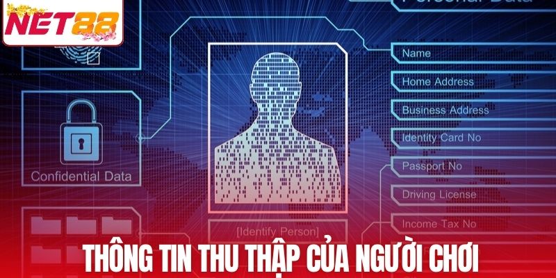 Thông tin hệ thống thu thập của hội viên
