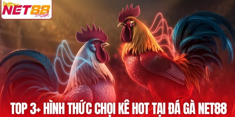 Top 3+ hình thức chọi kê hot tại đá gà NET88
